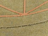 an image of a close up of a green hat