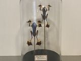 a glass clochet with a bunch of flowers inside of it