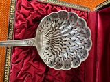 a silver spoon sitting in a red box on a red cloth