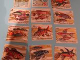 a picture of a collection of fish stamps on a table
