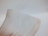 a close up picture of a white flower with a stem