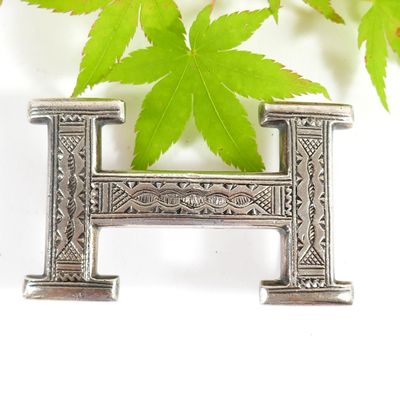 a silver letter h on a white surface with green leaves
