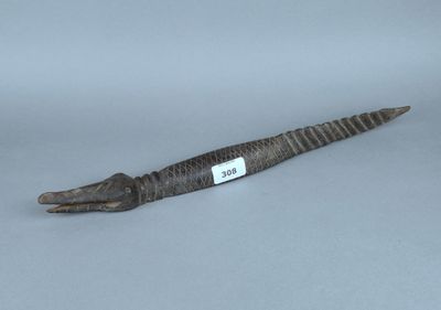 un alligator allongé par terre