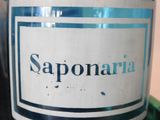 a close up of a bottle of wine on a table