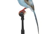 a bird that is sitting on top of a pole