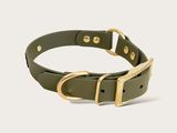 leather dog collar in olive green with gold hardware