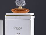 an image of a bottle of perfume sitting on top of a box