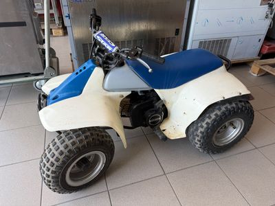 a small blue and white quad bike parked in a garage
