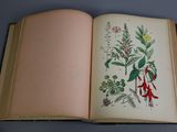 an open book with a picture of flowers on it