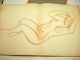 drawing of a nude woman laying on her back in a book