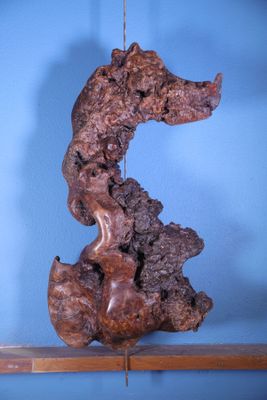 Étienne BALMADIER (XXème) dit BALMA "Dragon"