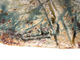 a close up of a piece of food that has been burnt