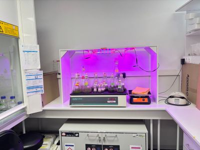 une image représentant un laboratoire rempli de flacons