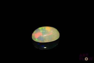 an oplite in the dark with a black background