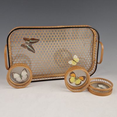 une valise contenant des papillons et d'autres objets