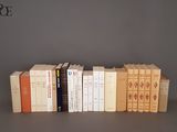un grand nombre de livres alignés sur une étagère