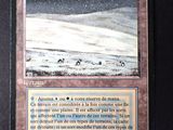 le verso d'une carte représentant un cheval dans la neige
