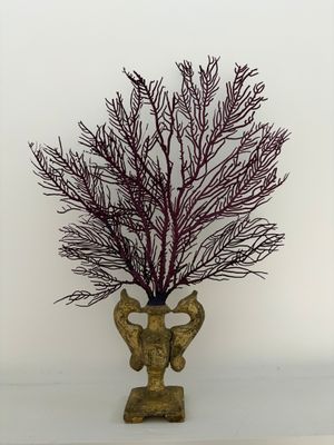 un vase contenant une plante rouge, posé sur une table