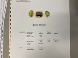 Photo 20/20 du lot