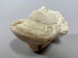 a close up of a white object on a table
