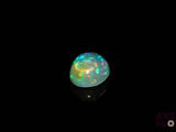 an oplite in the dark with a black background