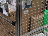 a metal cage with a bunch of boxes in it