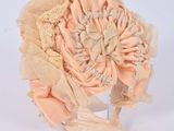 fleur couleur pêche sur un bandeau, sur fond blanc