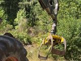a tractor that is sitting in the grass near a tree