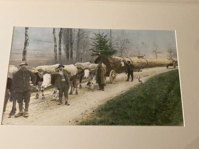 une photo d'un groupe d'hommes avec des chevaux sur un chemin de terre