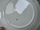a person holding a white plate with a gold star on it