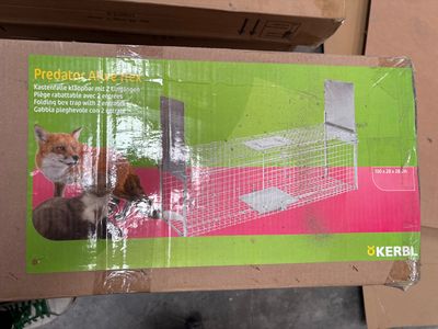 a box that has a cat inside of it