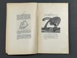 an open book with a drawing of a monkey on it