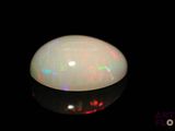 an oplite in the dark with a black background