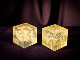two yellow cubes with dandelions in them on a black background