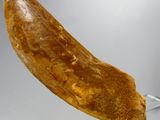 a banana on a glass stand on a white surface