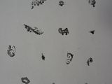 a piece of paper with drawings on it on a table