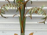 a plant that is sitting on a table in front of a window