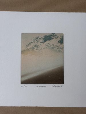 une photo d'une photo représentant une vague venant de l'océan