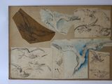 une photo d'un dessin représentant un oiseau sur une feuille de papier