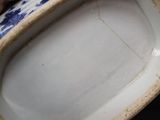 a person holding a blue and white plate in their hand