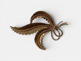 an image of a gold brooch with a large feather on it