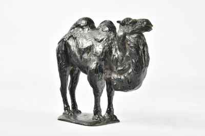 Paul JOUVE (1878-1973) "Chameau", modèle créé circa 1908-190…