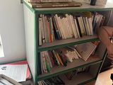 a woman sitting in a chair in front of a bookshelf