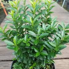 Destockage & Invendus