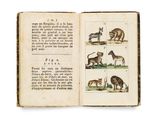un livre ouvert sur lequel figurent des illustrations d'animaux et d'oiseaux