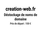Photo 1/1 du lot