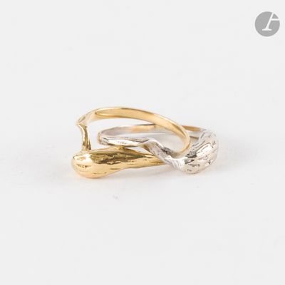 une image représentant une bague en or et en argent sur fond blanc