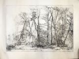 un dessin en noir et blanc représentant des arbres dans une forêt