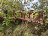 un tracteur rouge assis dans l'herbe