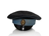 a blue hat with a gold emblem on it